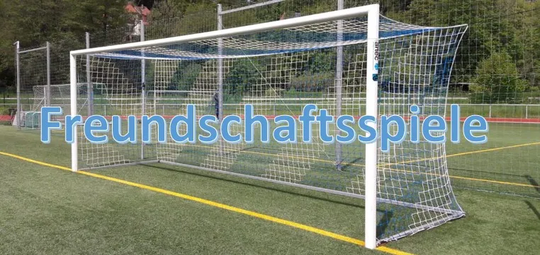 Nach Trainingsauftakt folgen erste Testspiele für Thüringenligisten
