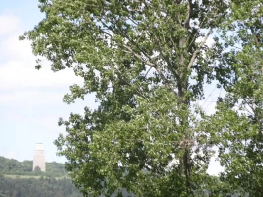 4:1-Sieg in Hopfgarten (Philip Wandner)