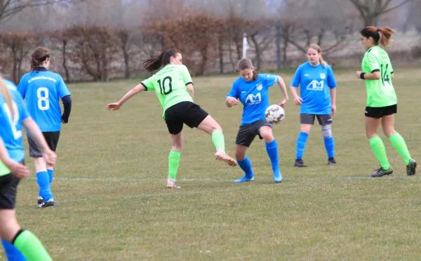 27.03.2022 SV Frohndorf vs. FC Einheit Bad Berka