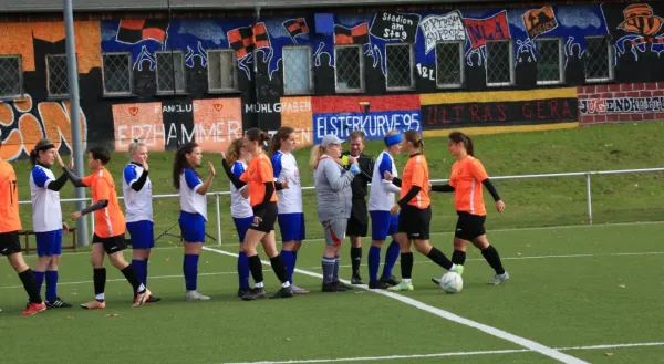 05.11.2023 BSG Wismut Gera vs. FC Einheit Bad Berka