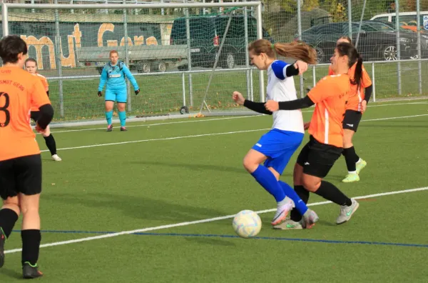 05.11.2023 BSG Wismut Gera vs. FC Einheit Bad Berka